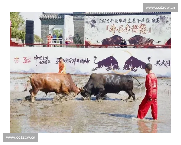 震撼全场的斗牛比赛实录展现力量与勇气的极限对决